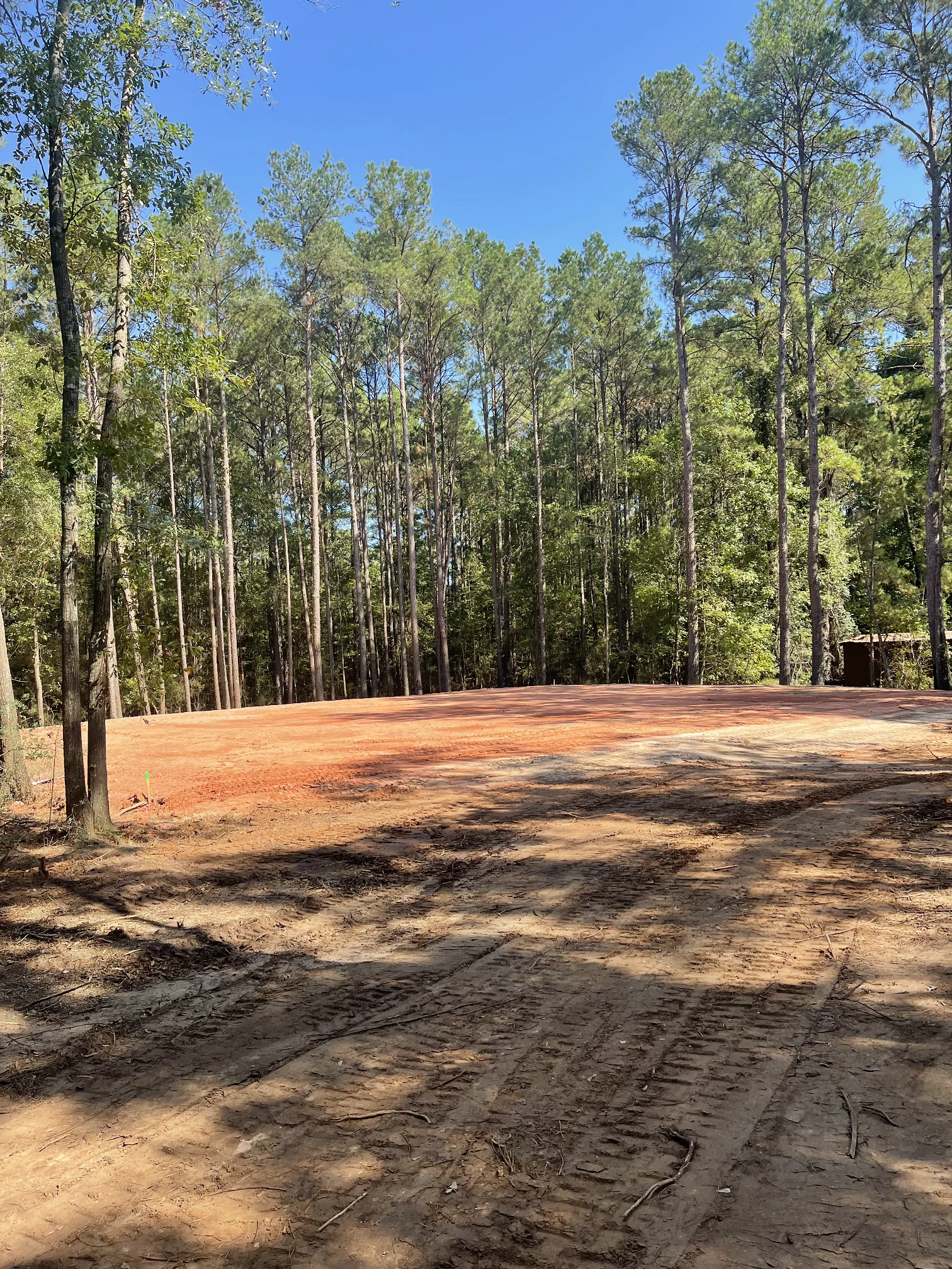 Land Clearing Project 1