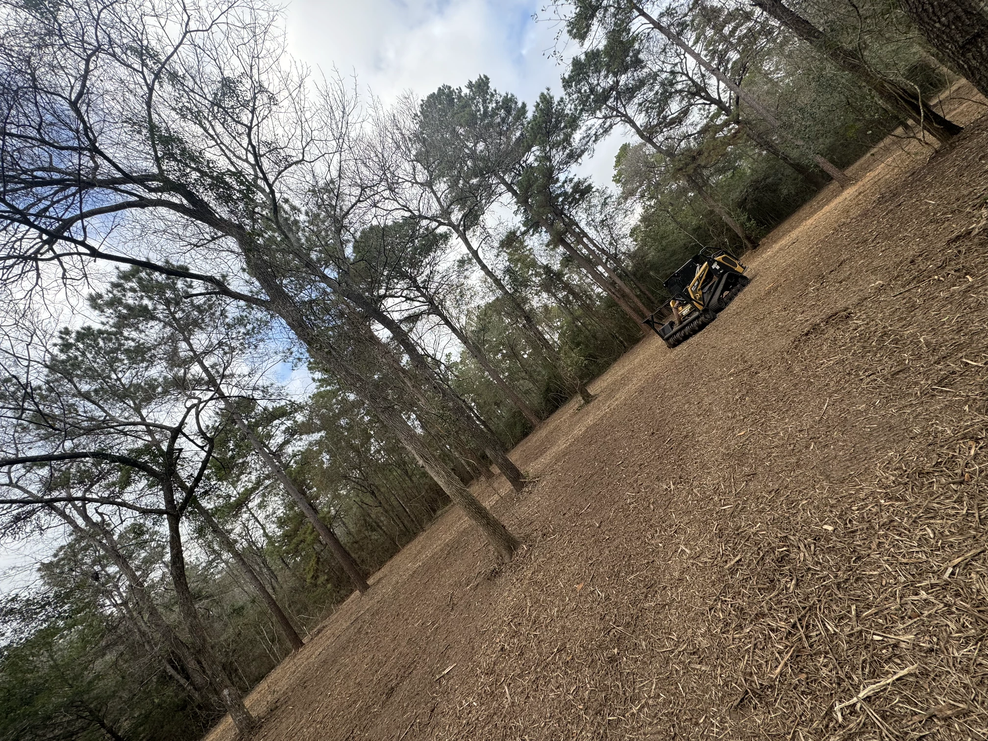 Land Clearing Project 4