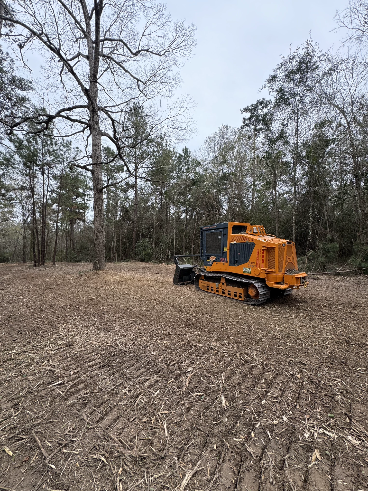 Land Clearing Project 5